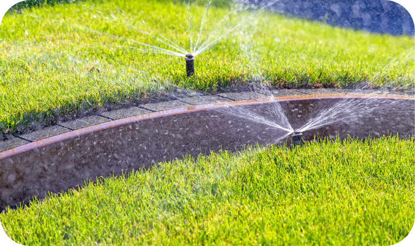 Irrigation Design, Repair, and Install