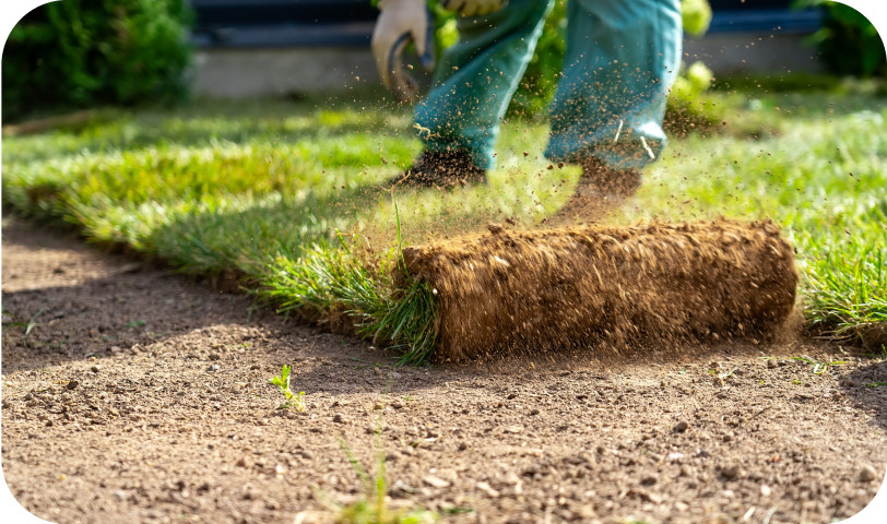 Sod Install