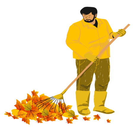 Efficient Leaf Removal for a Clean Lawn